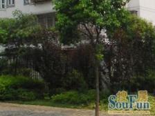 滨江大道 金滩边上 东陆路地铁站旁 品质洋房小区