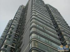 双轨道8/9陆家浜路 2号出口20米全明户型 落地窗双阳台