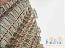 金杨低总价一房+中间楼层+中间位置+出租回抱率高+急售