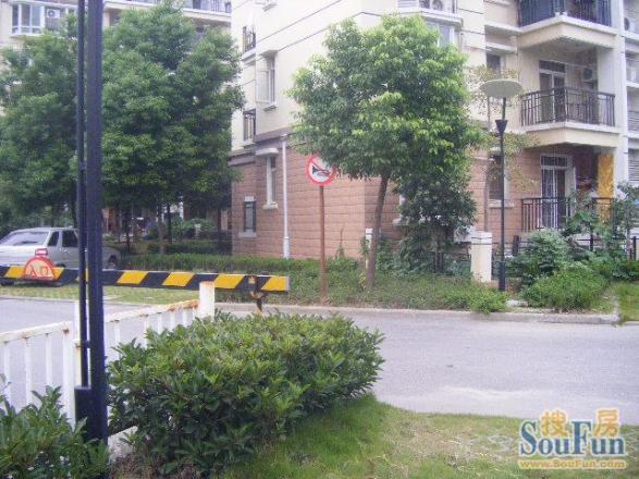 汉口花园淡莲轩实景图