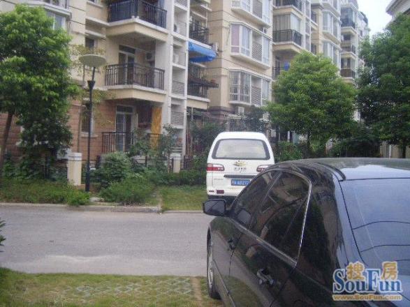 汉口花园淡莲轩实景图