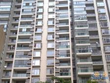 采光好视野无遮挡,精装修、全明户型,业主诚意出售