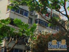 新上四村电梯双南两房近华之门商务综合体+地铁