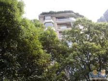 静安雅筑5室2厅南