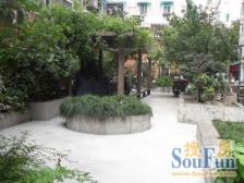 延平路481弄+中区+满五年税费少+诚意出售