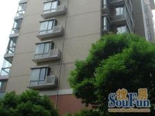 房子满五,电梯高层,视野好,全明户型,小区较新!