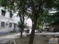 新上大两房,满五年,看房方便,价格可以聊