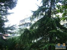 金虹桥·虹梅路2669弄·2室·1厅