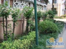 彭浦·阳曲路50弄·3室·0厅