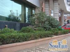 世博滨江·欣安基公寓·2室·2厅