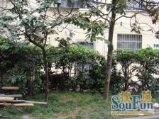 打浦桥稀缺1房,海华+卢湾双学区,业主诚售