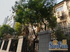 美丽家园,师专大境,电梯,中间楼层