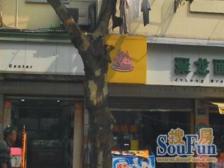 五里桥 · 瞿溪路1003弄 · 1室 · 1厅