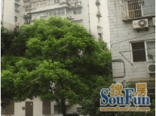 精装三房,双轨交沿线,近商圈,楼层佳