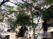 一楼带天井南北两房满五年 诚意出售