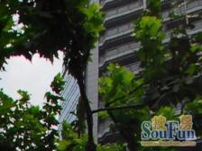 烫金地段豫园板块带阳台可看四件套