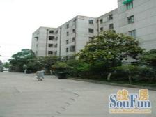 新上 位置好 楼层好 南北户型 满五无费用 看房方便