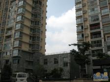 此房不靠马路,南北通透,楼层好,视野宽阔,采光充足