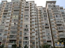 新上07年商品房小区,南北通大三房两卫,格局舒适