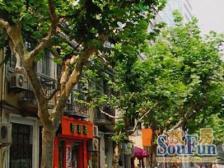 建国西路四开间洋房,设计师操刀,三层洋房,花园近400平