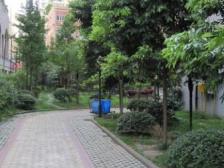 建典大厦 1室0厅 东南