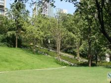 中高楼层视野开阔,配套成熟,带星光