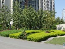 龙湖水晶郦城静苑 2室2厅 西南