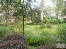 两路空港 远洋航港四房125万