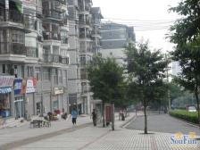 一碗水 金碧园小区三房31.3万