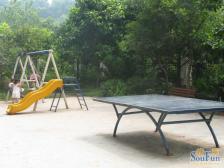 近轻轨9号线!采光很好!近公园!