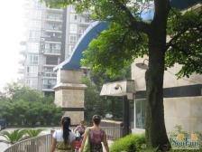 向东朝中庭采光充足正三房三卫