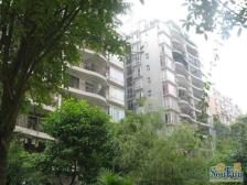 一碗水 春天花园四房118万