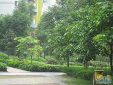 一碗水 银海峰景二房60万