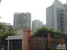 香海驿 1室1厅 东南