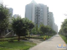 住家装修,配套齐全,交通便利,封闭式小区