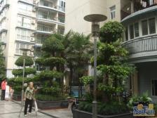 渝北 书香美地 2楼 住家精装 39万诚心出售