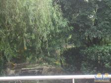 渝北 书香美地 住家精装大三房 诚心出售 低层