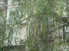 渝北 书香美地 2楼 住家精装 39万诚心出售