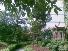 渝北空港新城带露台的四房二厅二卫 原装电梯出售