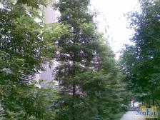 西区 盛景天下三房62万