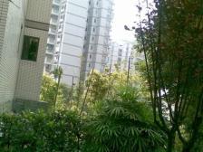 西区 盛景天下二房61万