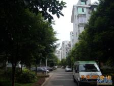 公园里房子,双轻轨,低首付大三房