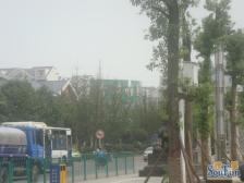 两路空港 青麓雅园四房115万