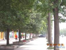 两路空港 名人港湾三房70万