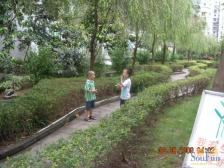 阳光充足,户型方正,朝小区中庭,