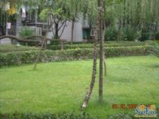 空港广场旁 住家精装大两房 诚心出售 拎包入住