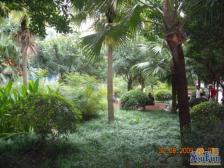 两路空港 龙凤花园四房50万