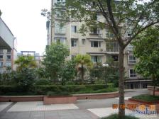 龙凤花园二区 3室2厅 东 东南