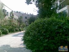 西区 锦域蓝湾三房62万