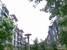 西区 锦域蓝湾三房79.8万